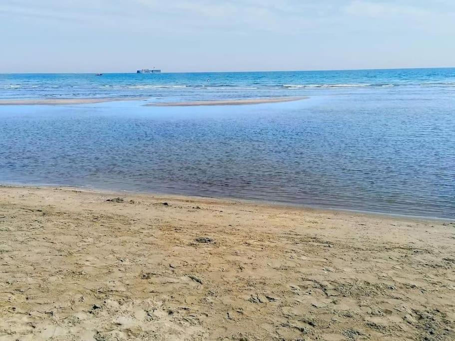Appartement Le Florid Cap D'Agde, T2 , 4 Pers, 200M Plage, Terrasse エクステリア 写真